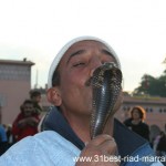 marrakesh3