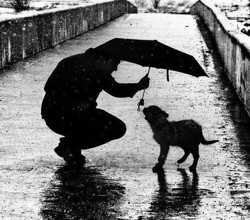As melhores fotos de chuva