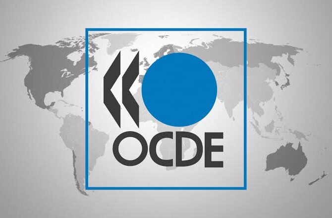 Brasil e OCDE: sobre comemorações e expectativas
