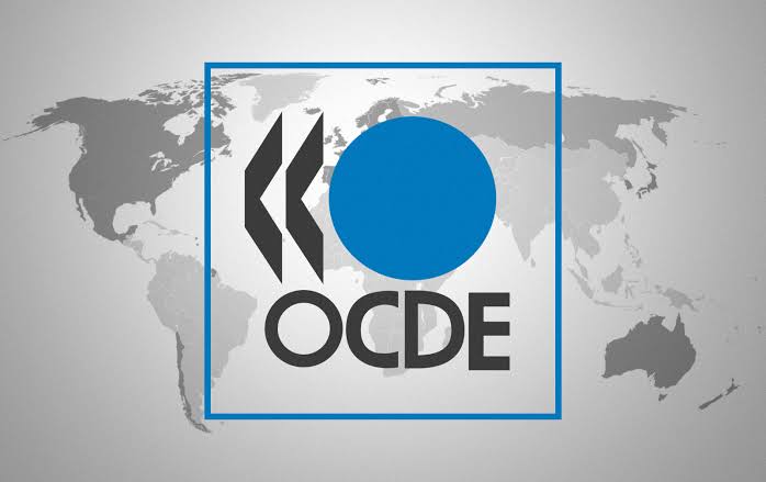 Brasil e OCDE: sobre comemorações e expectativas